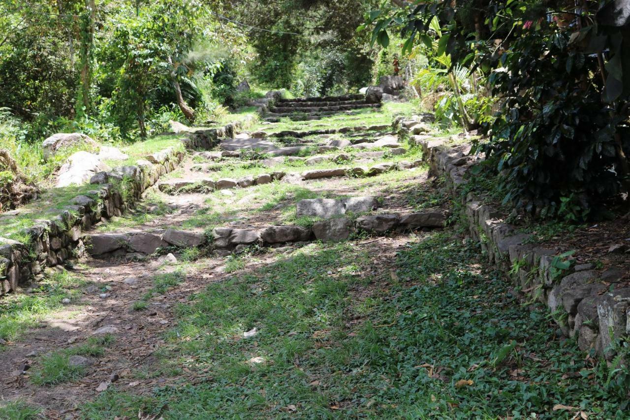 Llactapata Lodge overlooking Machu Picchu - camping - restaurant Salcantay Bagian luar foto