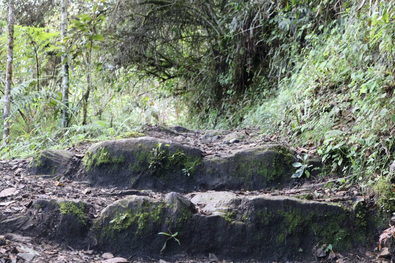 Llactapata Lodge overlooking Machu Picchu - camping - restaurant Salcantay Bagian luar foto